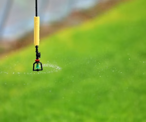 irrigação (4)