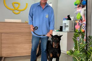 wilson-veterinario (1)