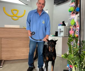 wilson-veterinario (1)