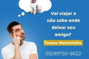 wilson-veterinario (6)