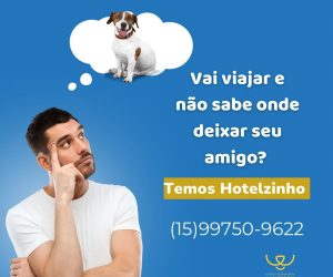 wilson-veterinario (6)